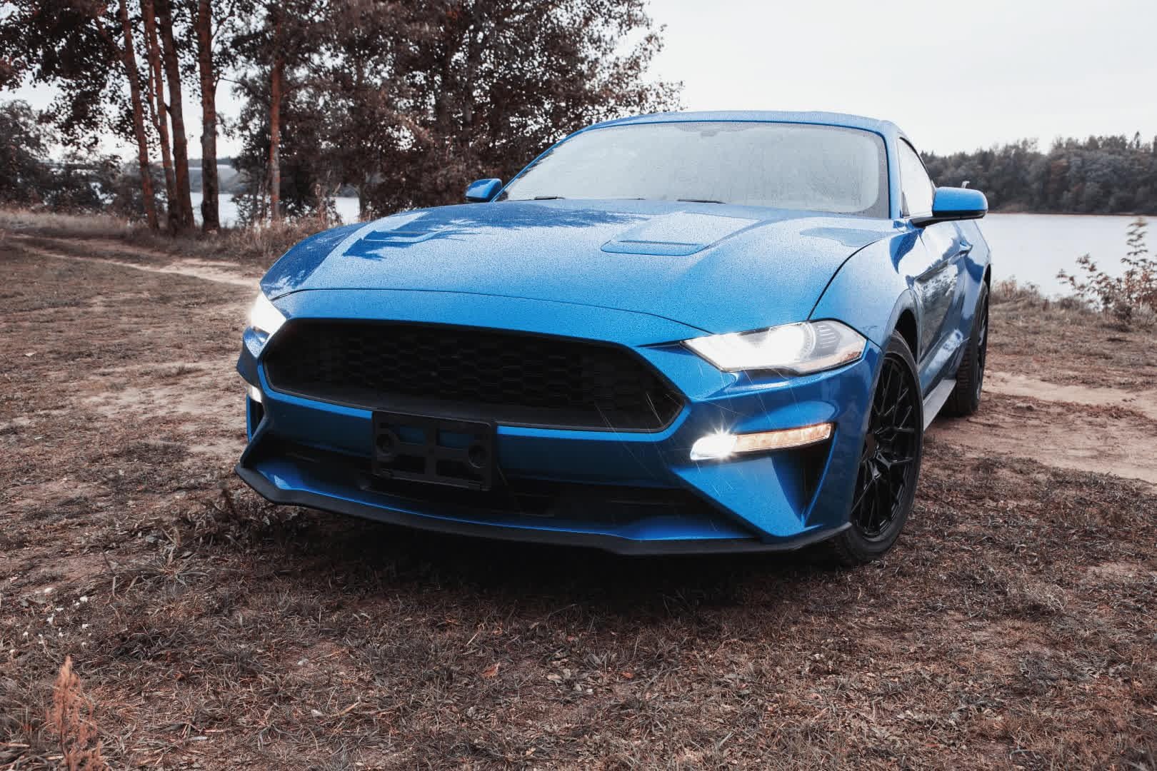 Image with Blue Car LUT applied.