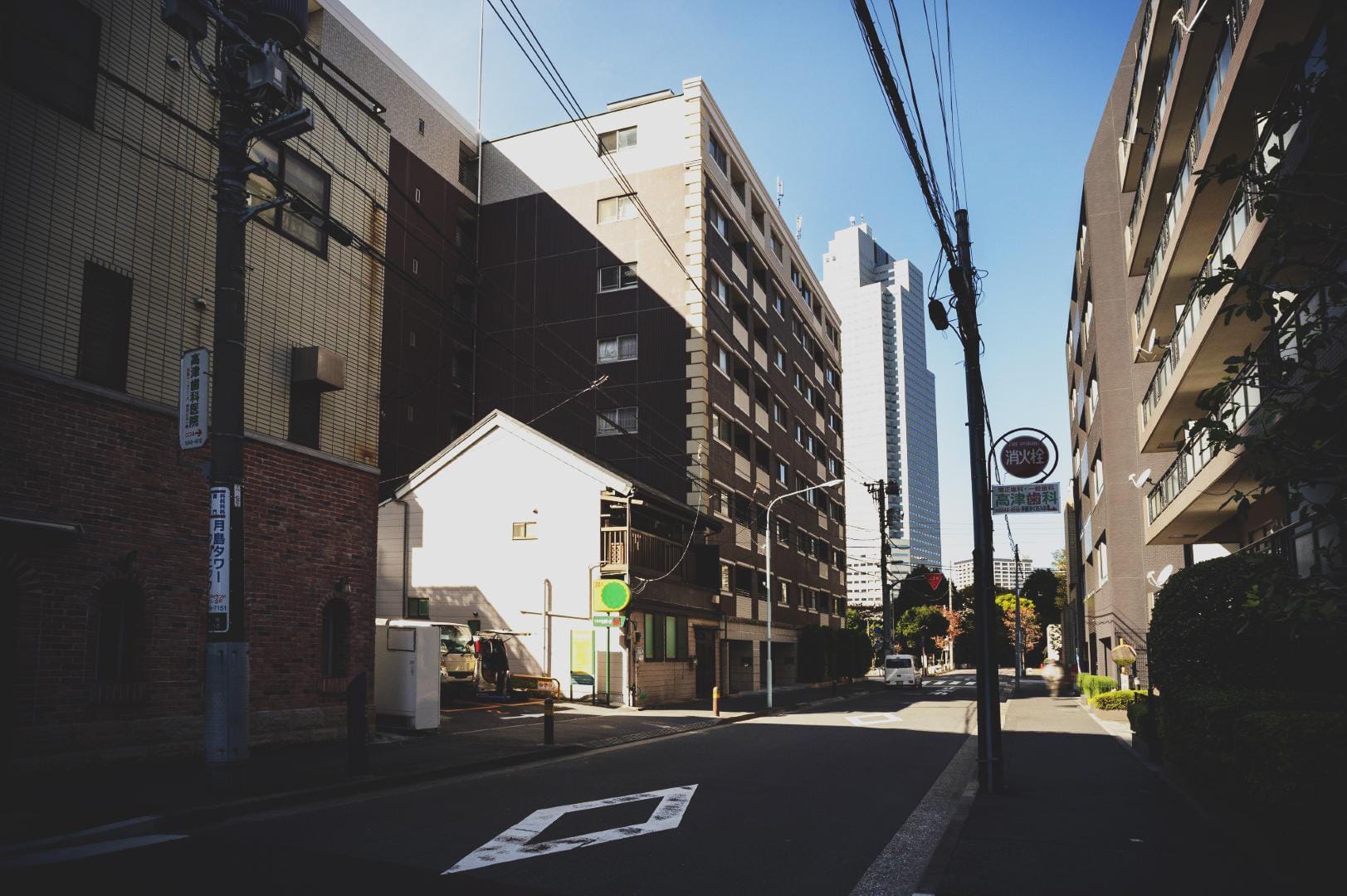 Image with Lo-Fi Lightroom Preset applied.