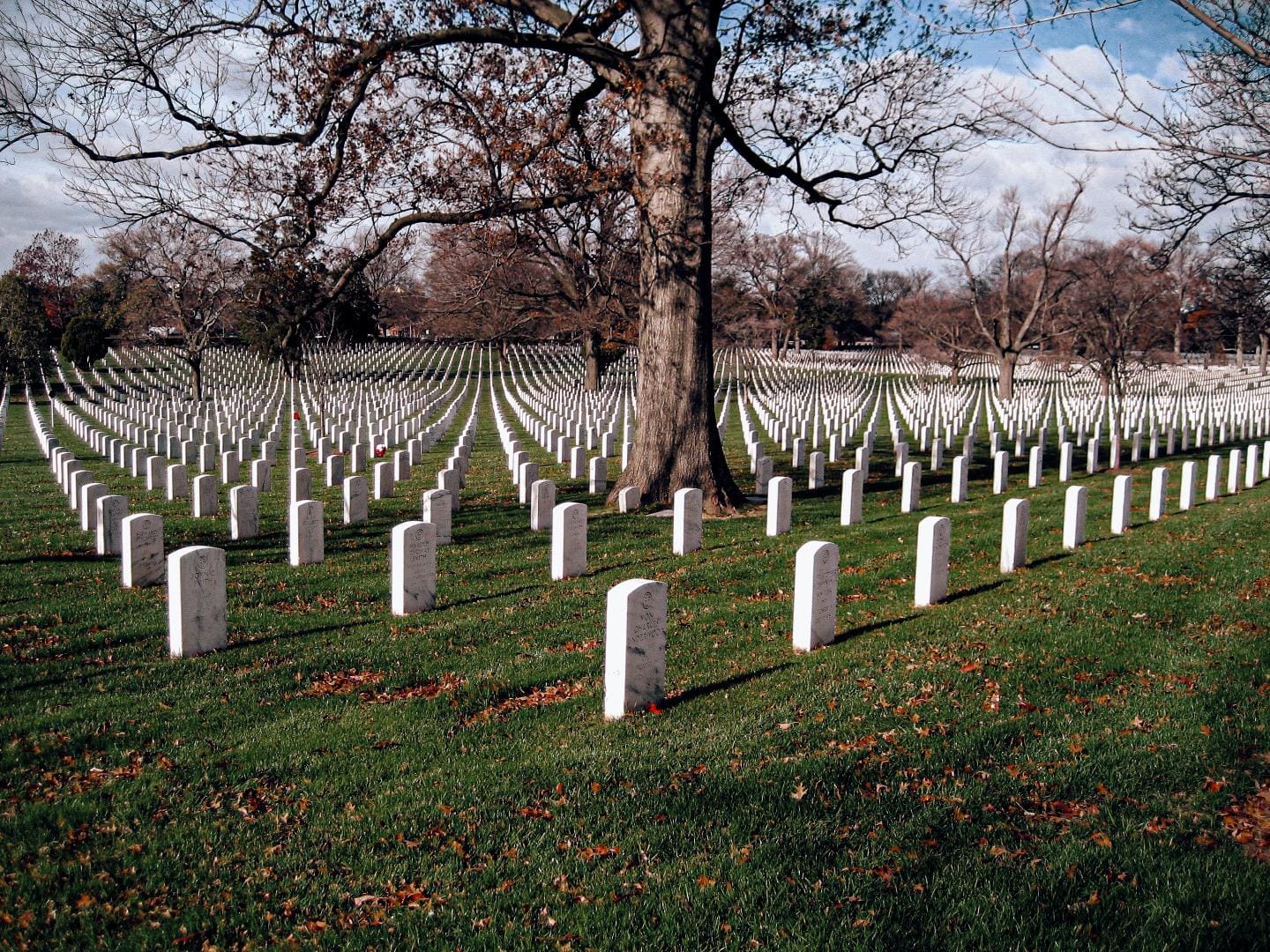 Image with Memorial Day Lightroom Preset applied.