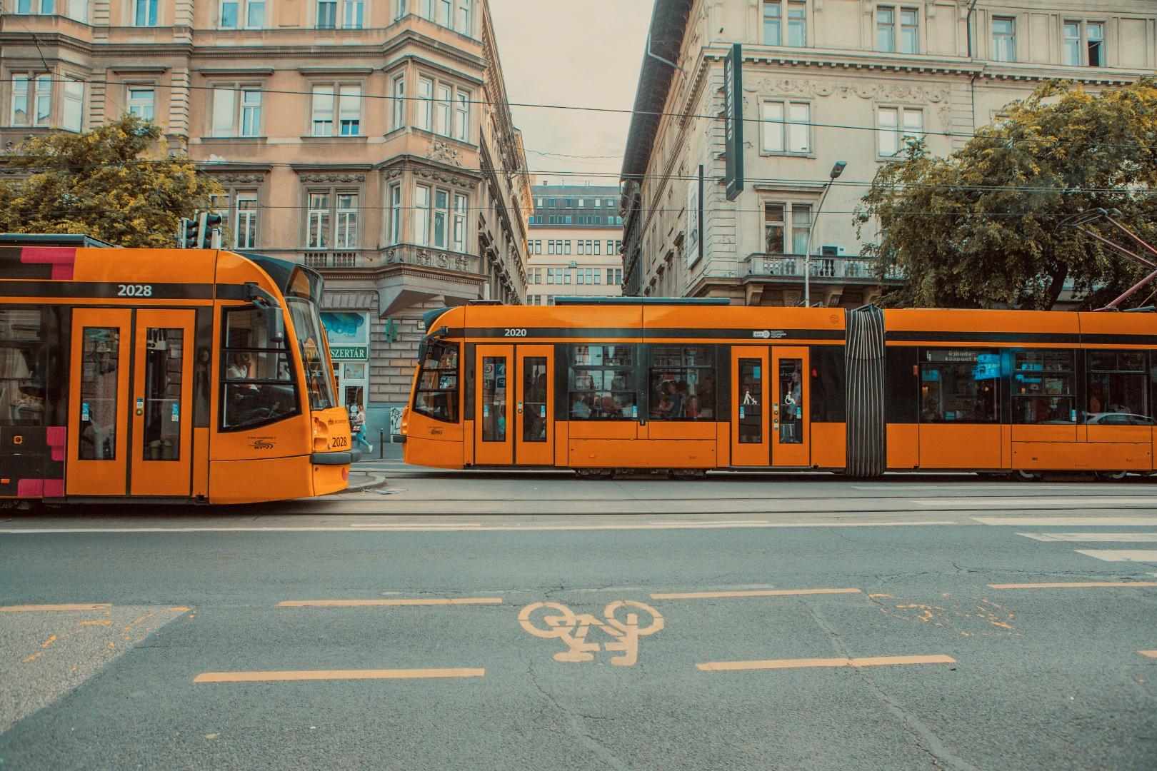 Image with Moody Yellow Lightroom Preset applied.