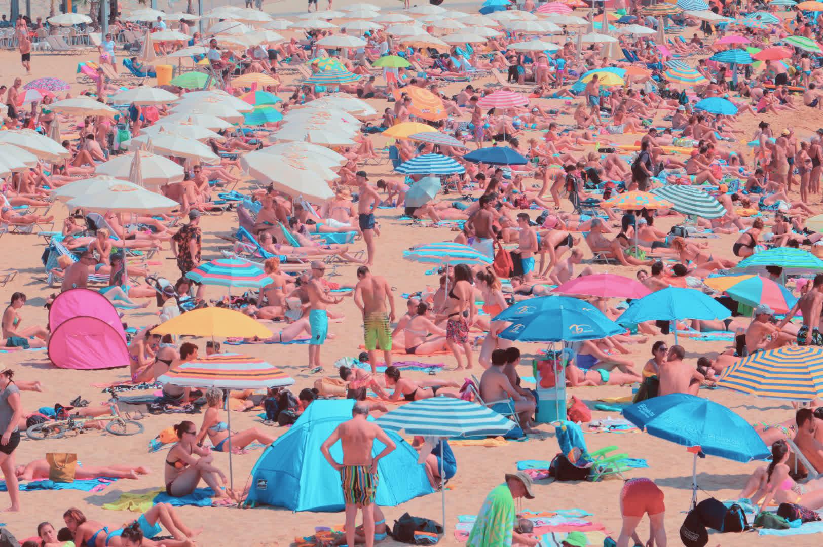 Image with Pink Beach LUT applied.