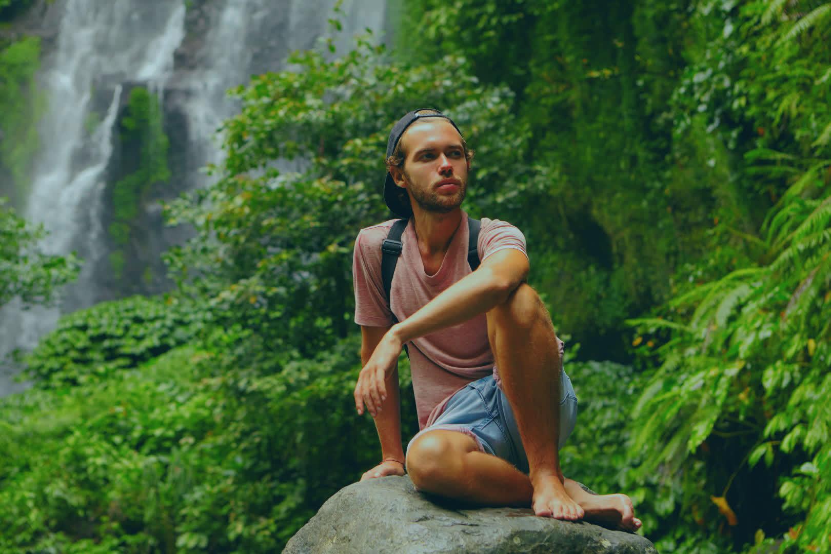 Image with The Phoenician Scheme Jungle LUT applied.