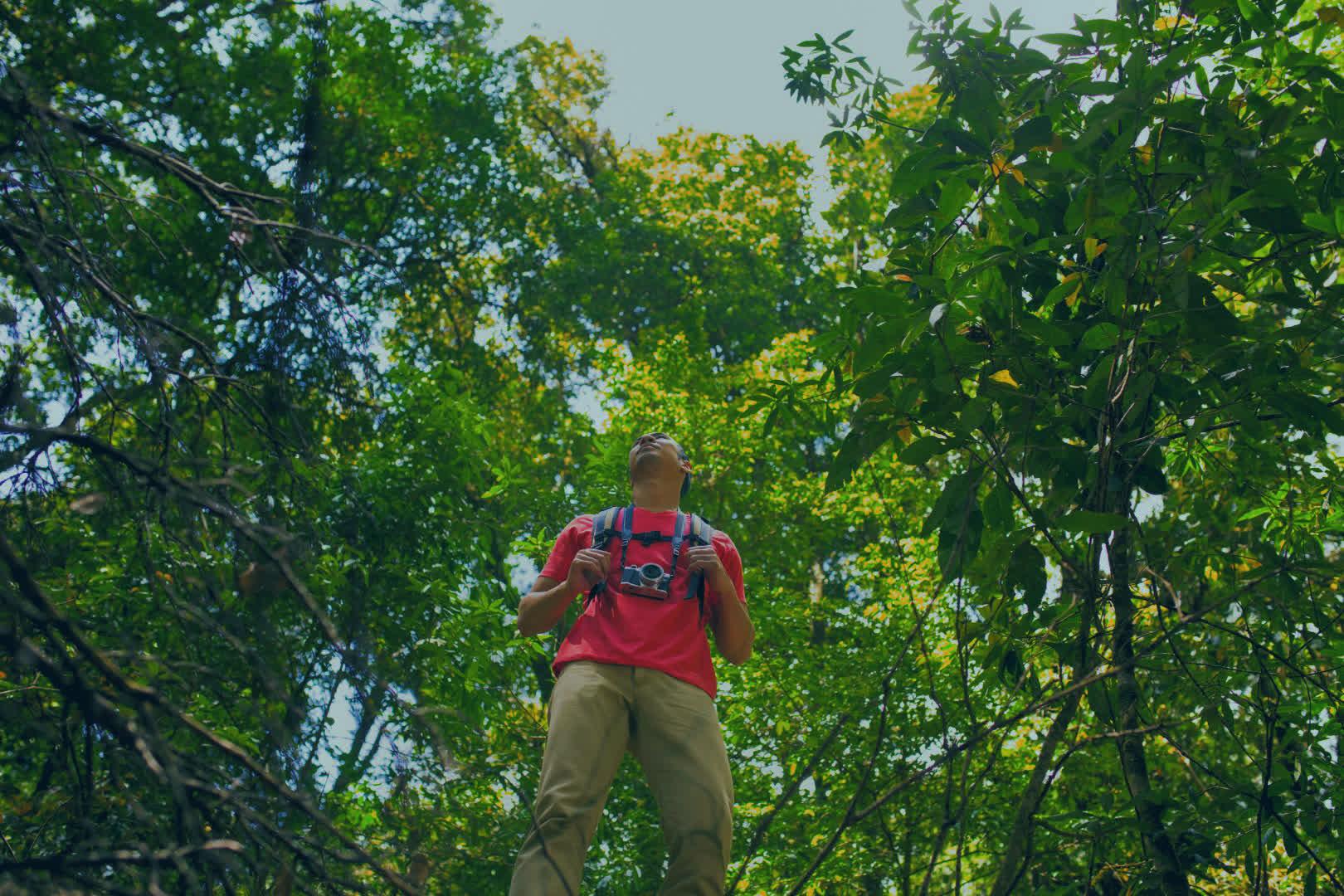 Image with The Phoenician Scheme Jungle LUT applied.