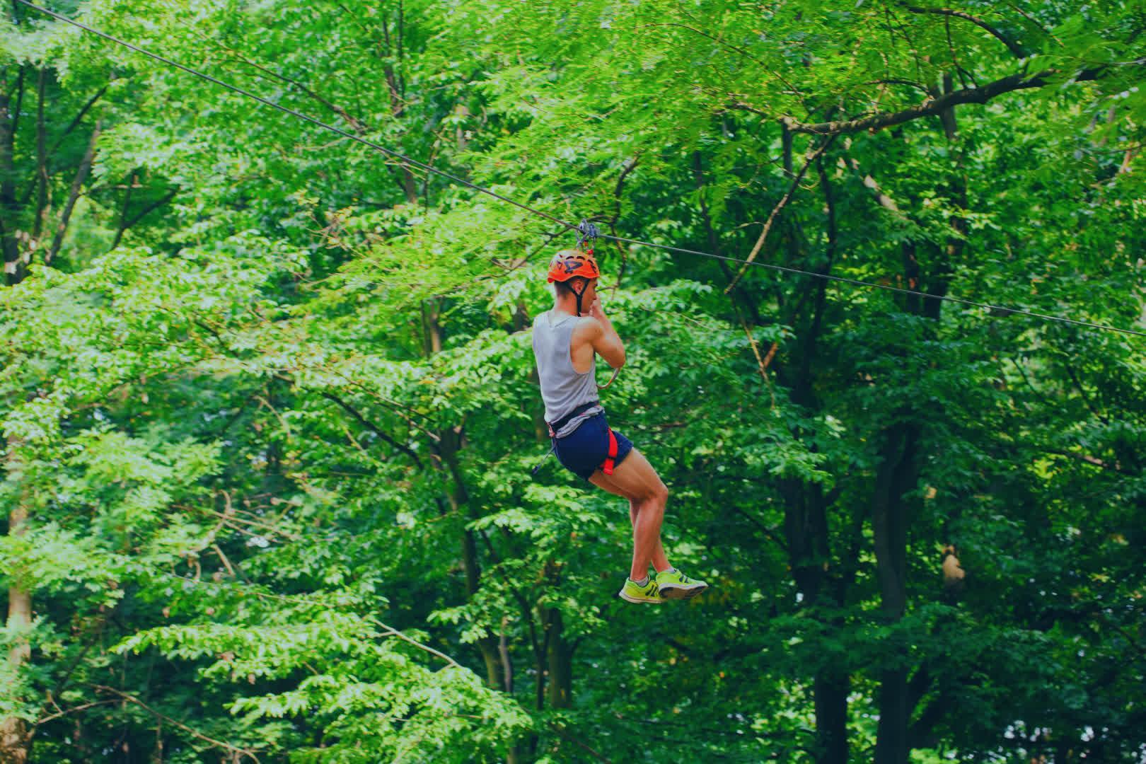 Image with The Phoenician Scheme Jungle LUT applied.