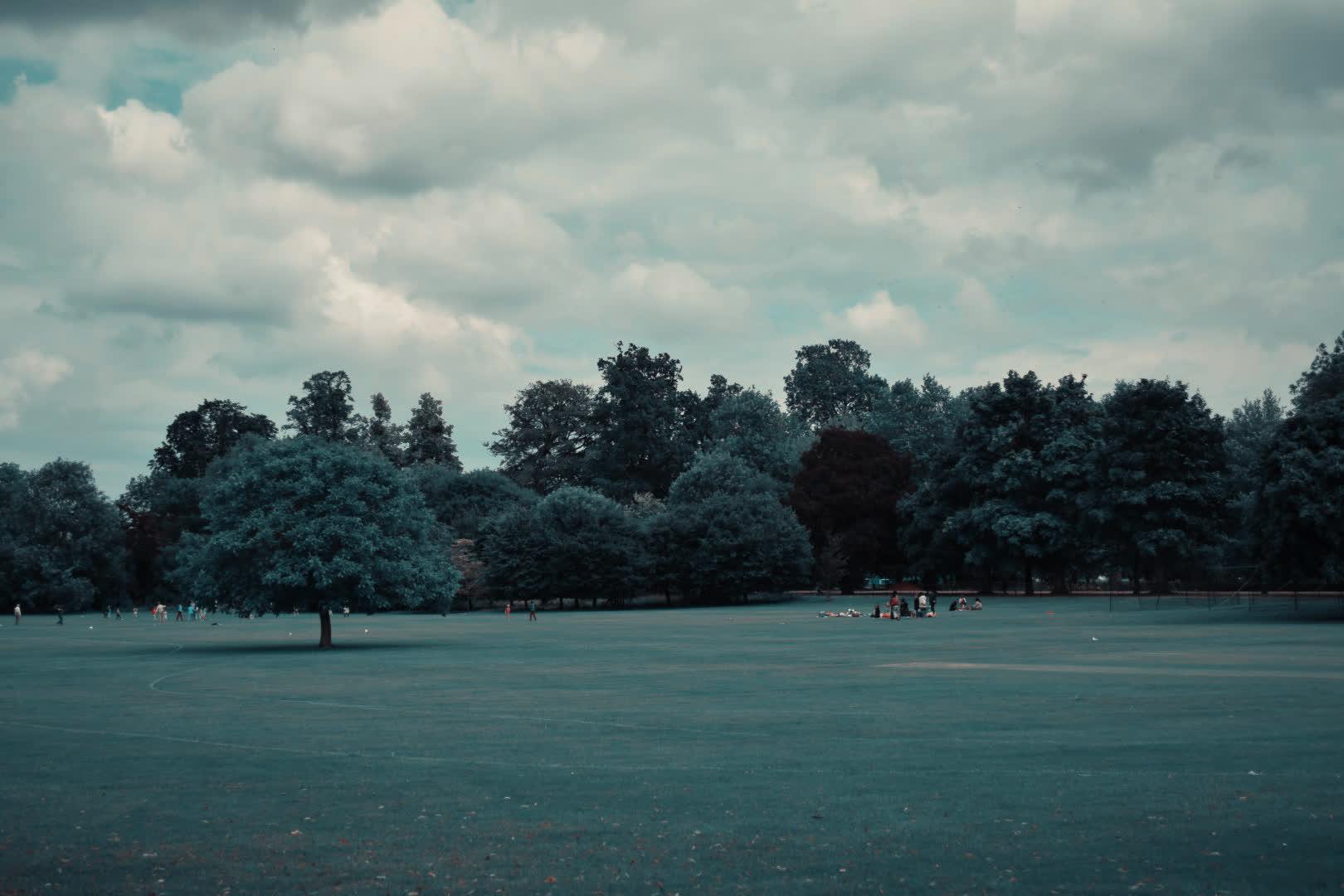 Image with Two-Strip Technicolor Process LUT applied.