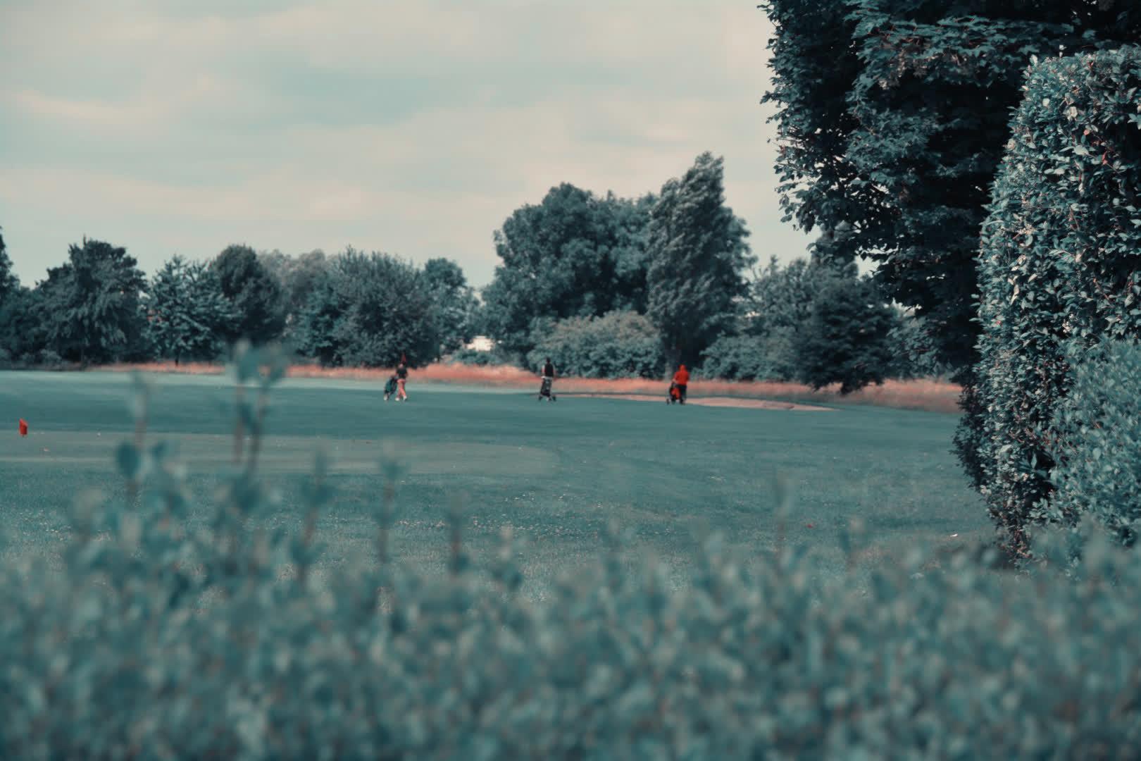 Image with Two-Strip Technicolor Process LUT applied.