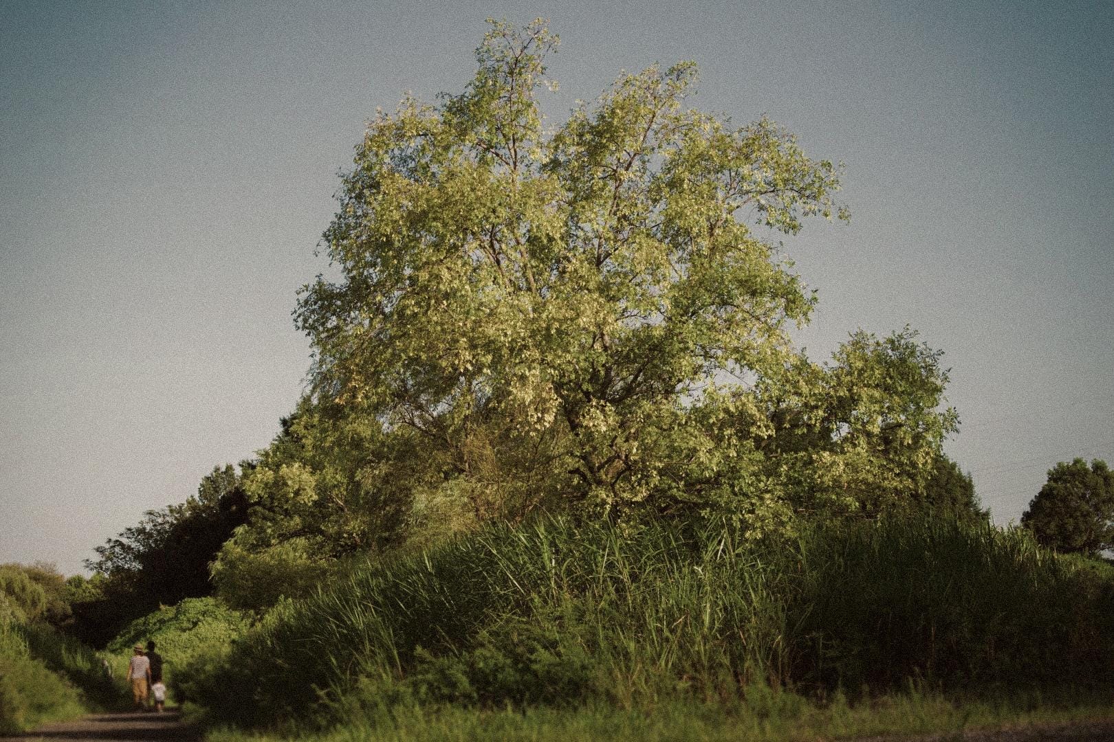 Image with Vintage Summer Lightroom Preset applied.