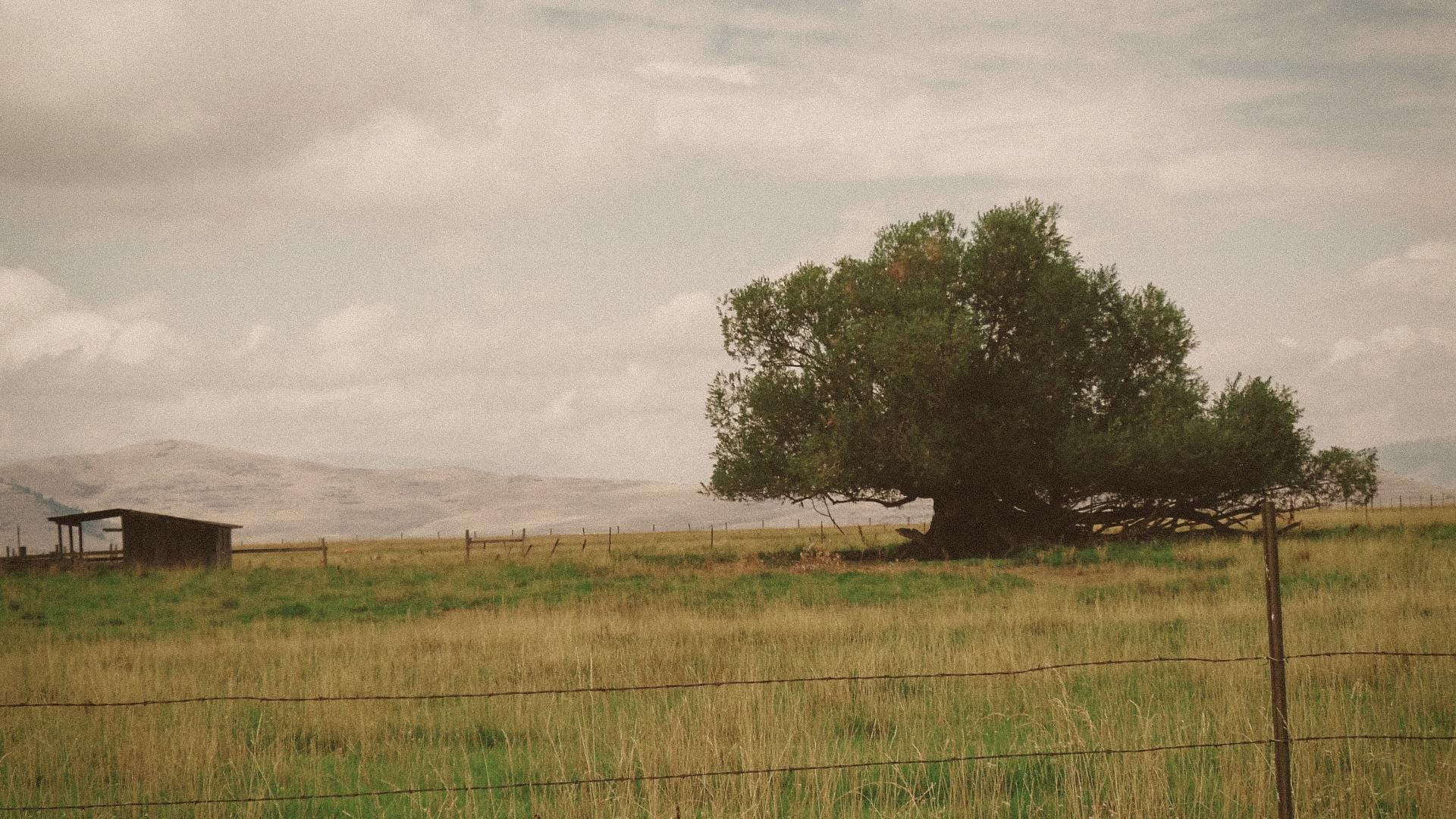 Image with Vintage Summer Lightroom Preset applied.