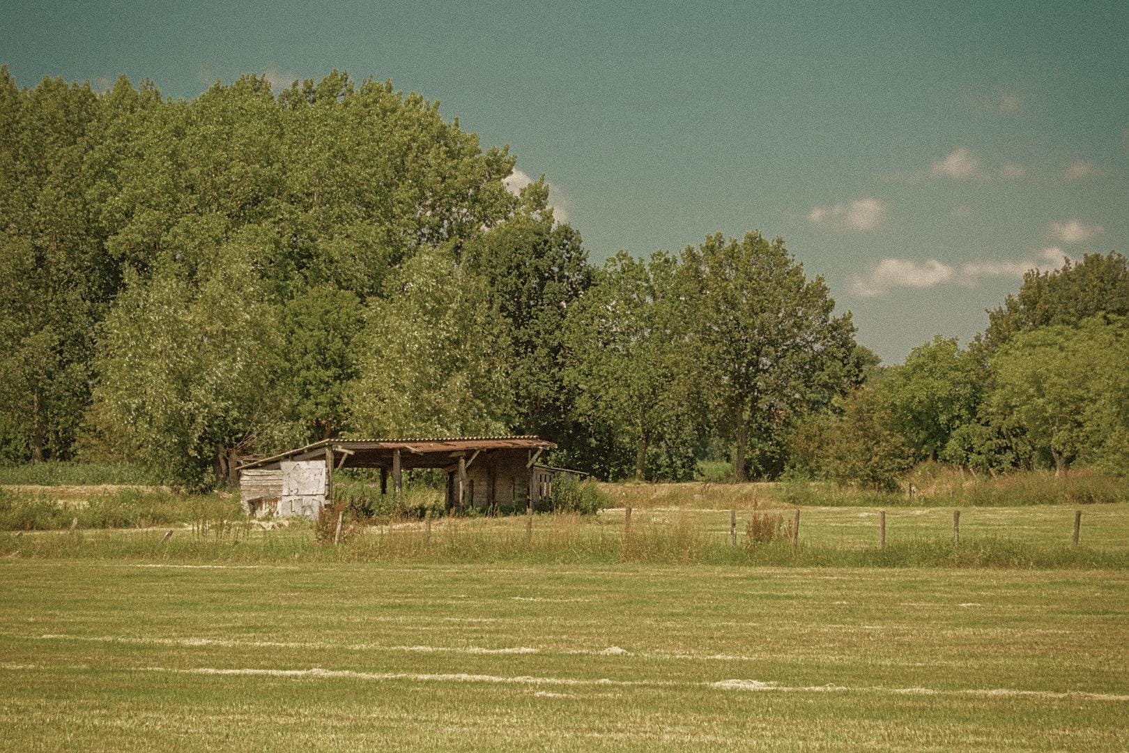 Image with Vintage Summer Lightroom Preset applied.