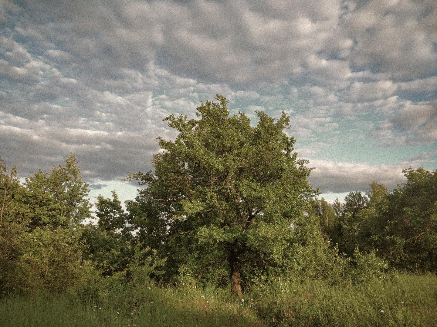 Image with Vintage Summer Lightroom Preset applied.
