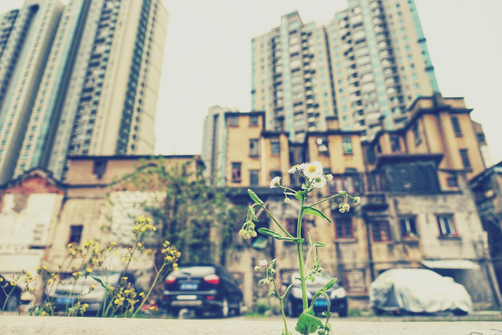 Image with Walden Lightroom Preset applied.